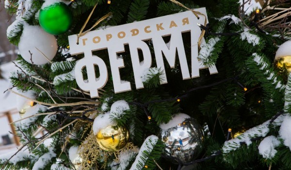 На «Городской ферме» пройдет премьера спектакля «Новогодние приключения бременских музыкантов»