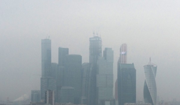 Туман в Москве рассеется 31 декабря во второй половине дня  