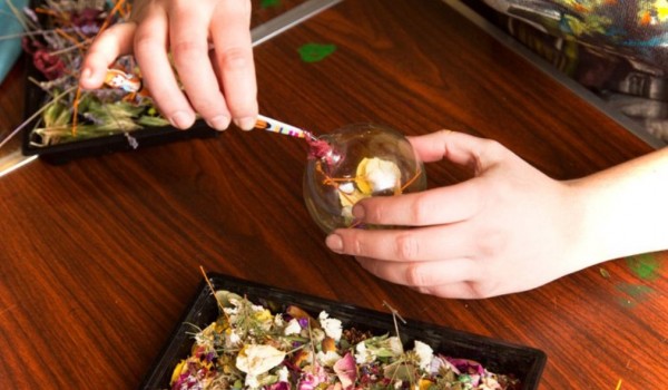 Ёлочные шары и цветочный календарь на 2018 год научат делать в «Аптекарском огороде» 