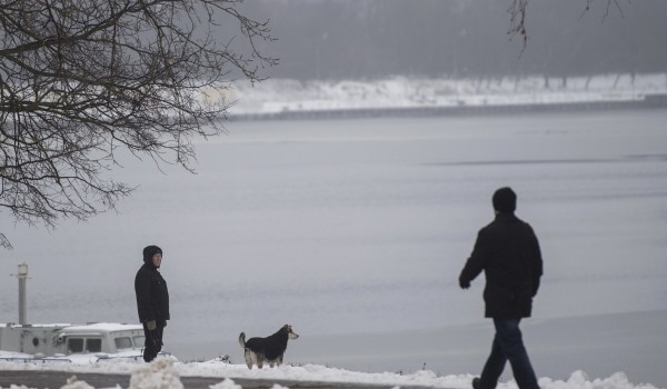 Облачная погода и до трех градусов тепла ожидается в столичном регионе 27 декабря