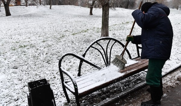 11 января в столичном регионе ожидается облачная погода и до минус 5 градусов