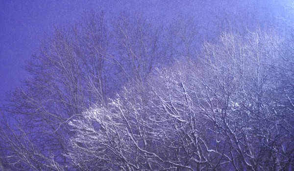 На ВДНХ представят выставку RETINA проекта «ВЗЛЕТ» 