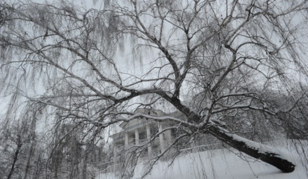 Чайный и ванный домики в Нескучном саду отреставрируют