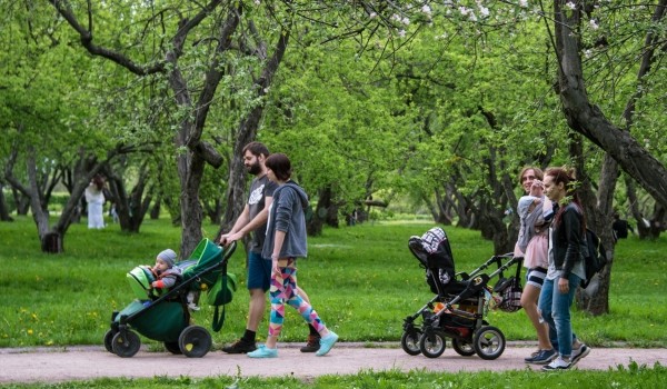 В «Новой» Москве создано 13 парков за пять лет