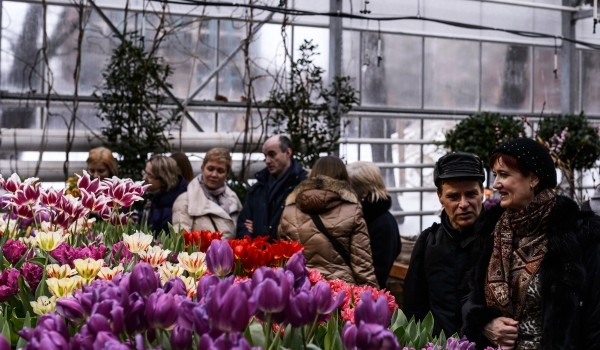 Праздничный концерт с романсами, оперой и неаполитанскими песнями пройдет в «Аптекарском огороде» 8 марта