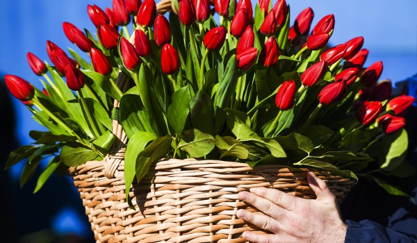 В праздновании 8 марта в столичных парках приняли участие порядка 132 тысяч человек