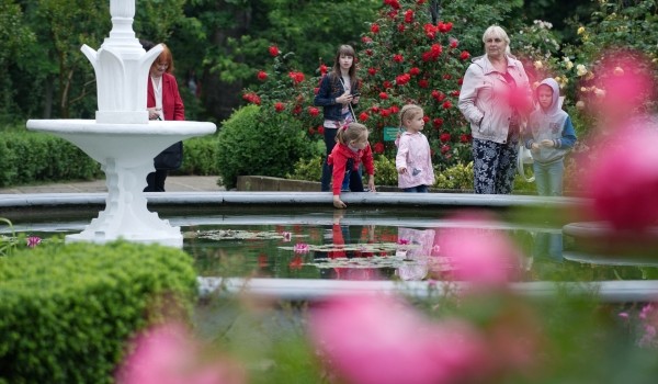 Свыше 1 тыс. цветников украсят столицу в рамках фестиваля «Московское лето. Цветочный джем»