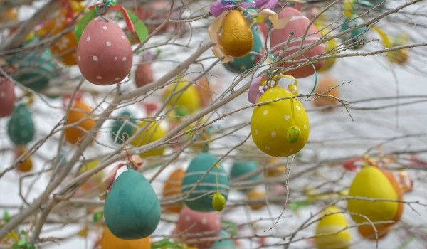 Театры из семи российских городов покажут 25 инклюзивных спектаклей в Москве в рамках «Пасхального дара»