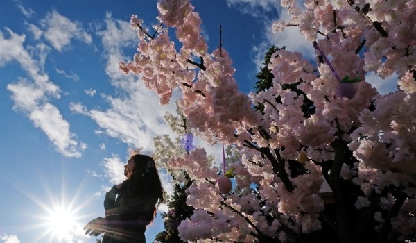 На майские праздники в столице пройдет более 300 массовых мероприятий