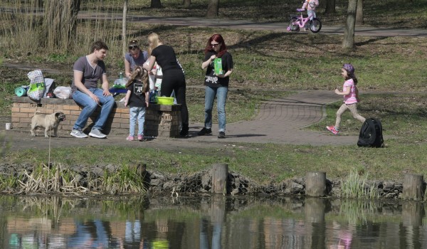 В столице организовано более 250 точек для пикников на особо охраняемых  природных территориях