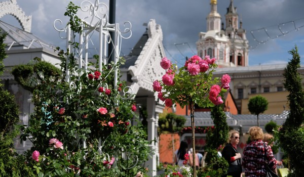 Более 4 млн растений украсят столицу в рамках фестиваля «Московское лето. Цветочный джем»