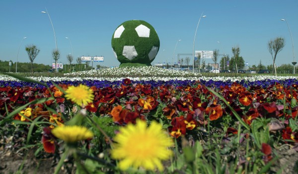 Цветники с логотипом чемпионата мира по футболу появятся в Москве летом