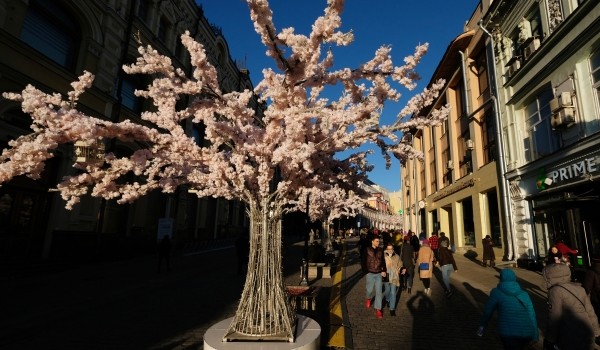 В Москве стартовал музыкальный фестиваль «Московская весна a cappella»