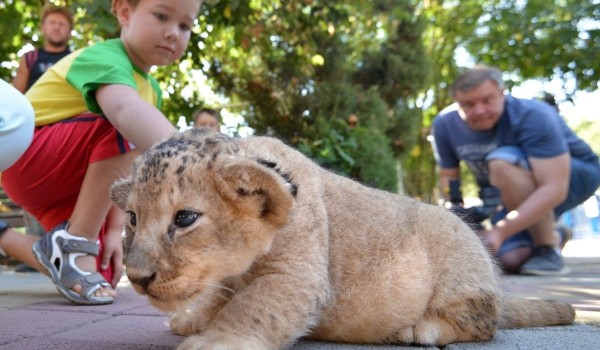 Спецпрограмма для детей пройдет в столичном зоопарке ко Дню защиты детей