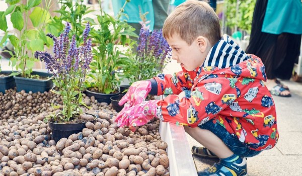 На ВДНХ заработает летняя школа «Сады и дети»