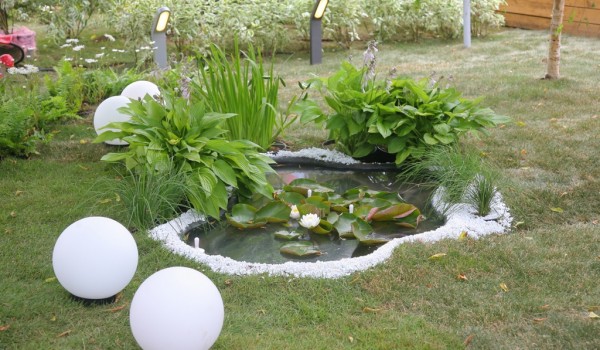 25 июня – 5 июля - IV Московский Международный Фестиваль Садов и Цветов Moscow Flower Show