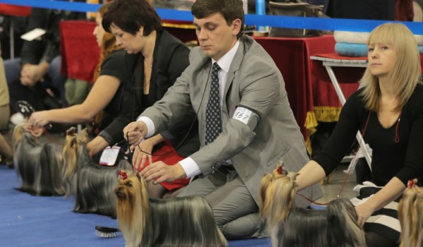 23-26 июня - Всемирная выставка собак «World Dog Show-2016»