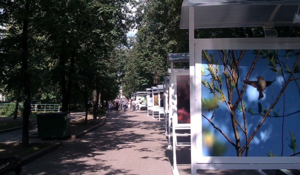 11 августа - открытие выставки «Тульская область: малые города - большие возможности»