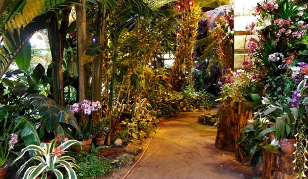 10 сентября – 10 октября - фестиваль современного искусства «Корень нового»