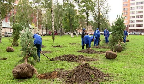 21 апреля - экологическая акция московских волонтеров по высадке деревьев и кустарников