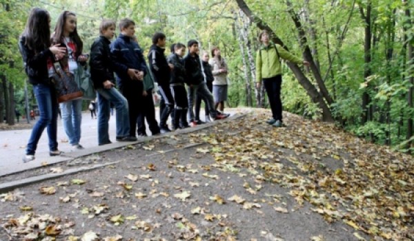 Экологическая экскурсия по Воробьевым горам