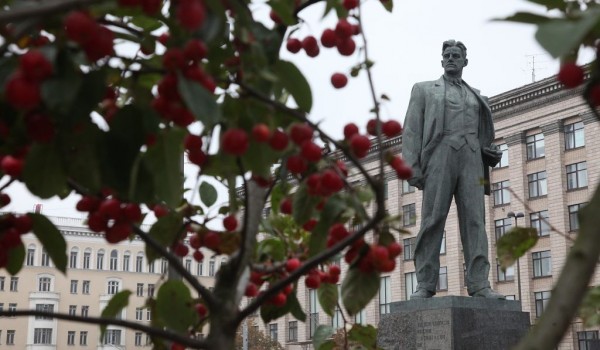 Высадка деревьев на Триумфальной площади