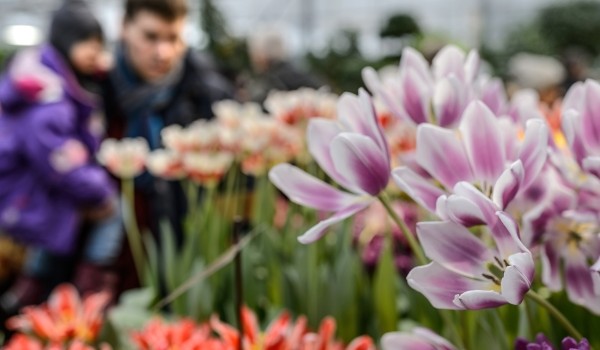 Бал цветов с барочной музыкой и фейерверком пройдет 22 и 23 июня в «Аптекарском огороде»