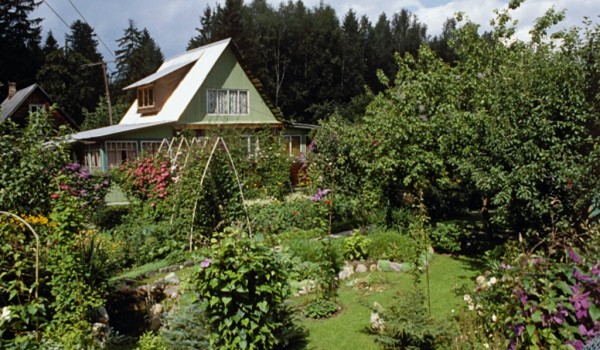 Для улучшения транспортной доступности садовых товариществ в Подмосковье  будет разработана специальная программа