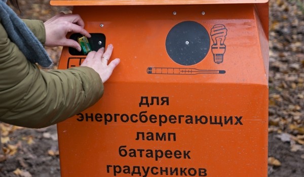Площадки для раздельного сбора мусора появятся в каждом московском дворе