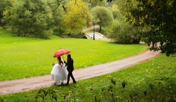 Семь пар поженятся в парке «Царицыно» в день семьи, любви и верности
