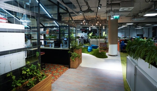 В Красносельском районе появится многофункциональный общественно-деловой комплекс