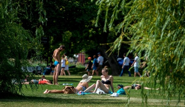 Жара в Москве усилится до плюс 30 в выходные