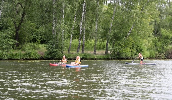 Жители столицы смогут научиться сапсерфингу и заняться йогой на «Эко-пикнике» в Серебряном бору