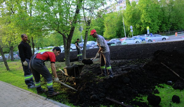 Освобожденное от 25 объектов самостроя общественное пространство в СЗАО будет благоустроено