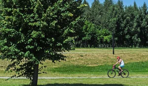 Городской ландшафтный парк открылся в Южном Бутово