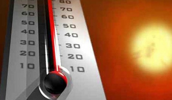 В Московском регионе ожидается сильная жара до плюс 31°С