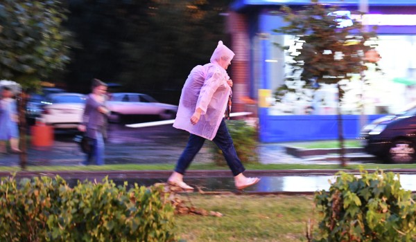 «Желтый» уровень опасности продлен в столичном регионе на 28 сентября из-за сильного ветра