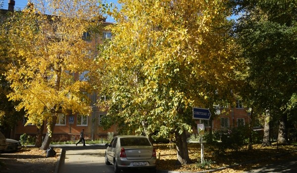 Благоустройство трех дворов в Басманном районе планируют завершить до 20 октября
