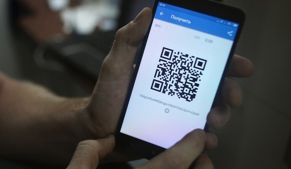 На ВДНХ установили таблички с QR-кодами у растений
