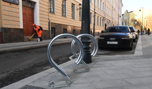 В АМПП призвали автомобилистов быть внимательнее и не парковаться около деревьев 28 ноября из-за ветра