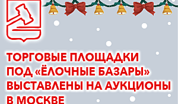 Торговые площадки под «Ёлочные базары» выставлены на аукционы в Москве