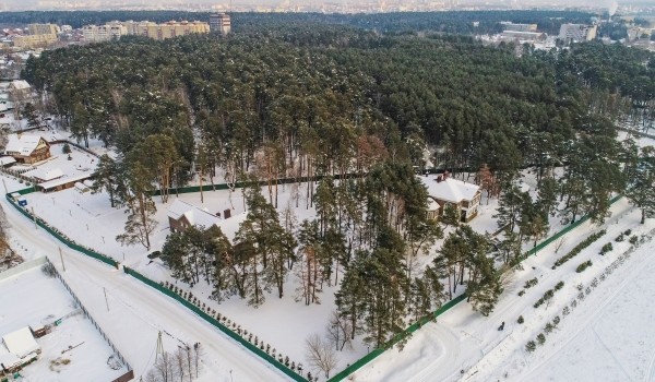 Временная оттепель не приведет к раннему пробуждению растений и животных