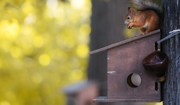 В столице появилась еще одна особо охраняемая природная территория