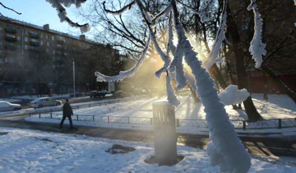 Облачная погода и до минус 6 градусов ожидается в столице 18 февраля