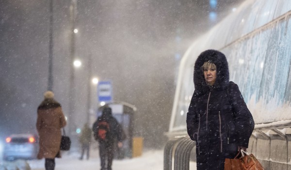«Желтый» уровень опасности из-за сильного ветра, снега и метели объявлен в Москве 21 февраля