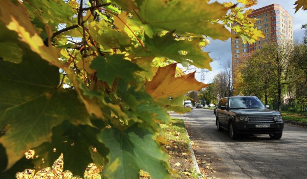 В Пресненском районе столицы весной планируется высадить более 2,6 тысяч деревьев и кустарников