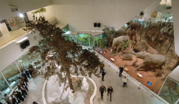 Дарвиновский музей празднует День Земли 20 апреля