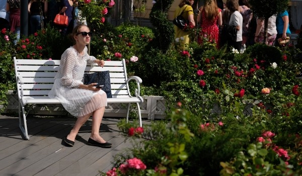 Сады на конкурс «Цветочный джем» будут смонтированы на Белой площади в ближайшие дни