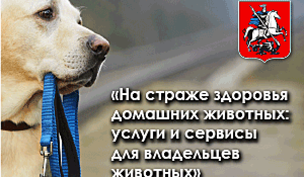 На страже здоровья домашних животных: услуги и сервисы для владельцев