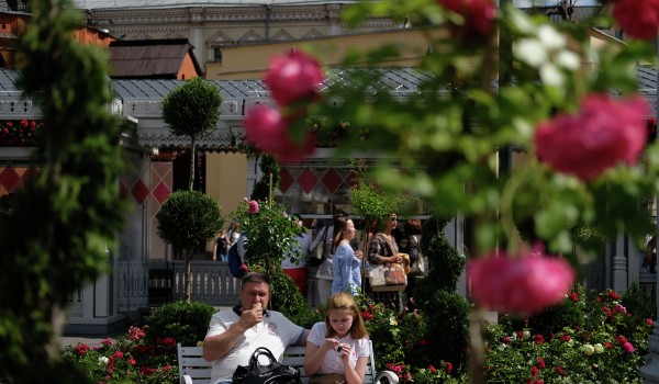 Иммерсивный сад откроется на Кузнецком саду в рамках фестиваля «Цветочный джем»